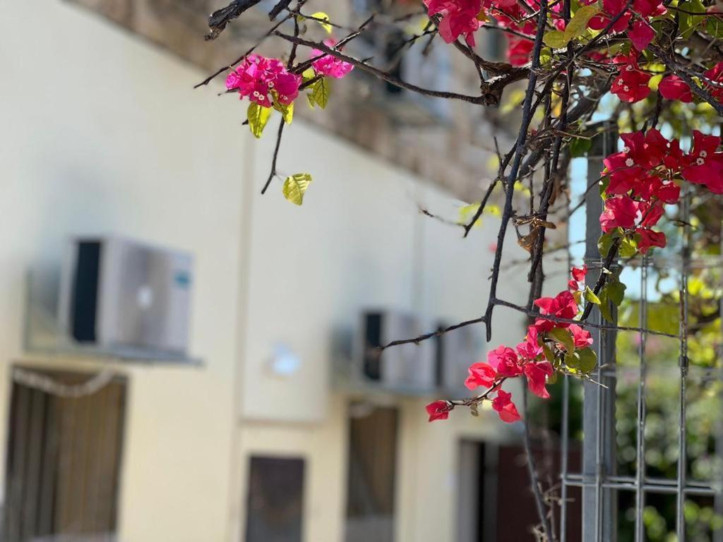 Godson Talpiot Aparthotel Haifa Buitenkant foto